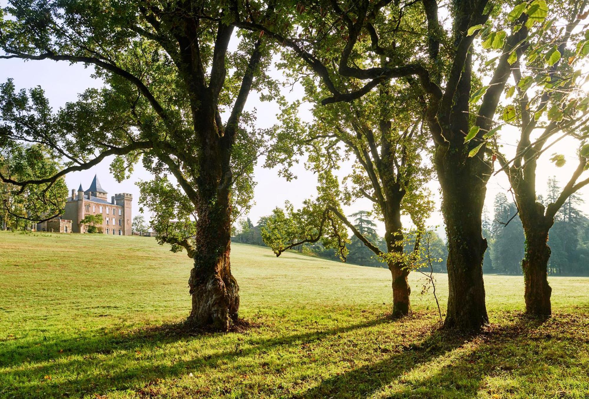 Chateau De Sibra Lagarde  Exterior foto
